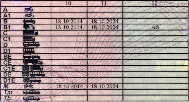 Таблица на обратной стороне водительских прав. Категория B автоматически дает право управлять мотоциклами из категорий B1 и M